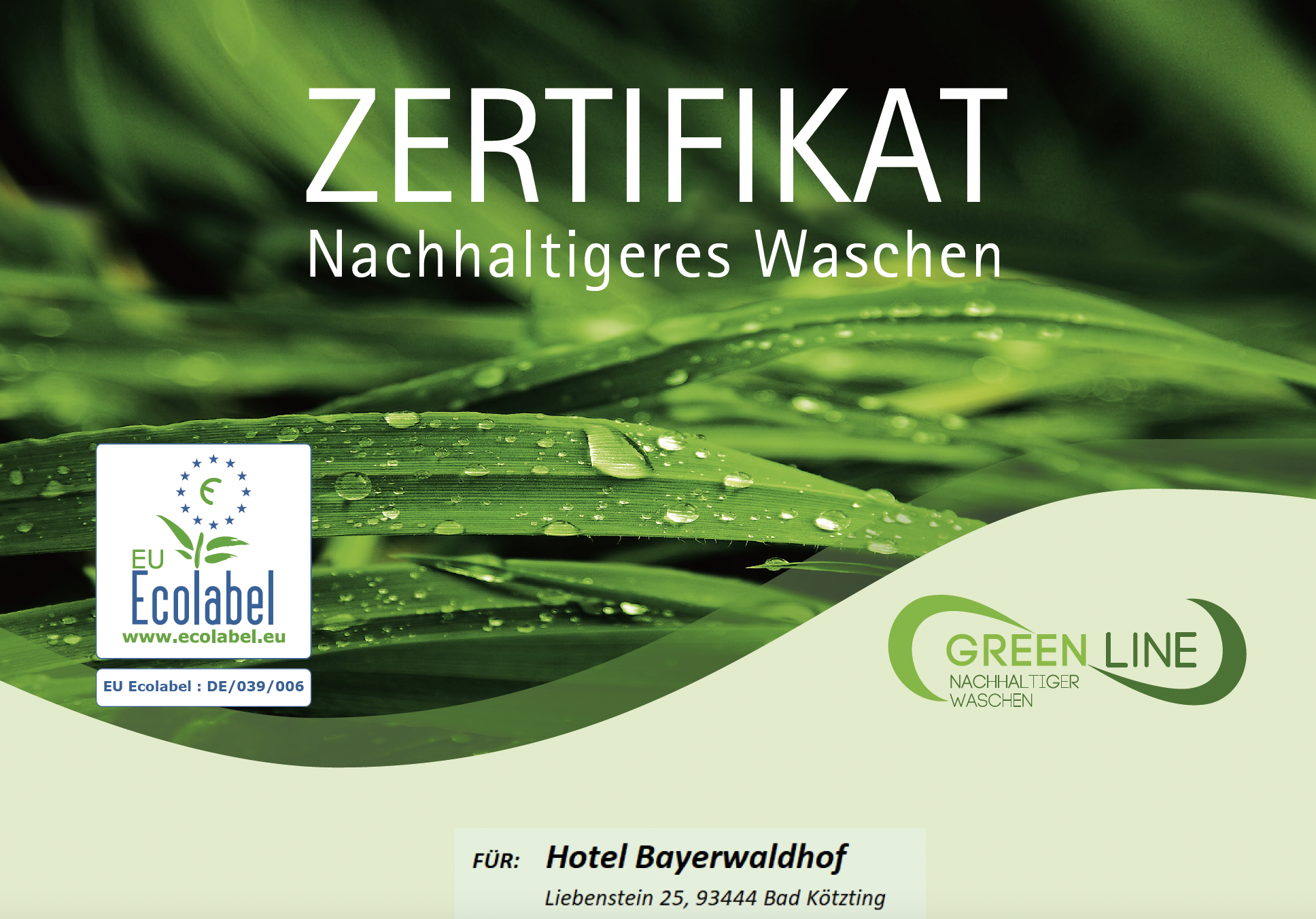 Zertifikat "Nachhaltigeres Waschen" GREEN Line - EU Ecolabel